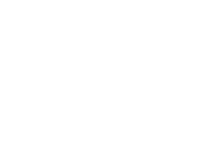 VillaBalín logó